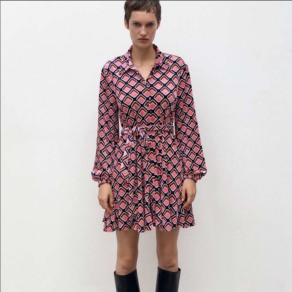 ZARA Printed Velvet Dress